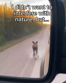 F1506004 Think I could ride him (Part 2)