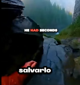 V1906001 ¡Este perro casi cae por un acantilado y la escena te dejará sin aliento! (Part 2)