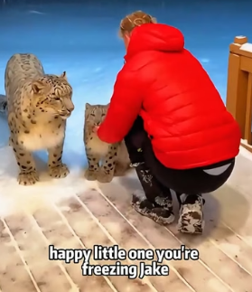 C1306010 When I saw a snow leopard with its cubs seeking help from me,and then (Part 2)