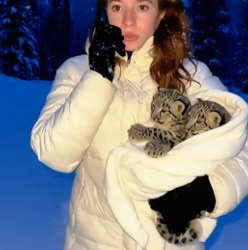 C1906005 I saved two young snow leopard who almost drowned, and then this happened. (Part 2)
