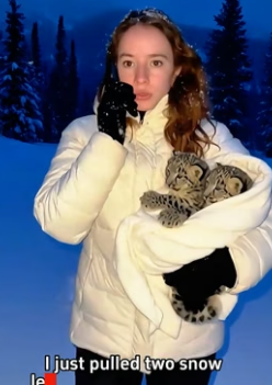 C1906005 I saved two young snow leopard who almost drowned, and then this happened. (Part 2)