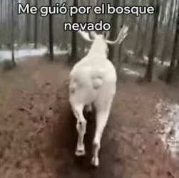 V3006006 Rescaté a Su Cría y Me Lo Agradeció (Part 2)