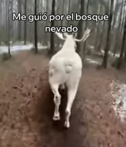 V3006006 Rescaté a Su Cría y Me Lo Agradeció (Part 2)