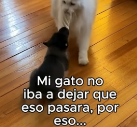 A1506004 Volvieron A Casa❤️ (Part 2)