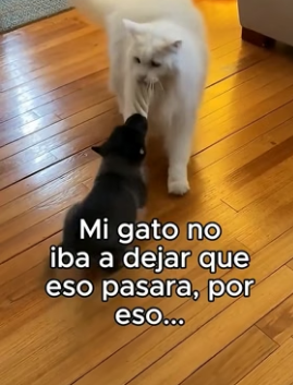 A1506004 Volvieron A Casa❤️ (Part 2)