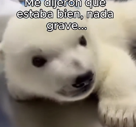 A1506006 La Salvé Y Me Lo Agradeció❤️ (Part 2)