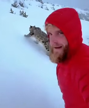 C1306018 When a snow leopard bit my pant leg gestured me to follow it (Part 2)