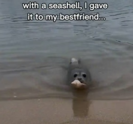 T1606009 Seal Brought Peace To Me (Part 2)