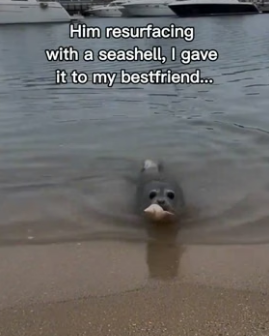 T1606009 Seal Brought Peace To Me (Part 2)