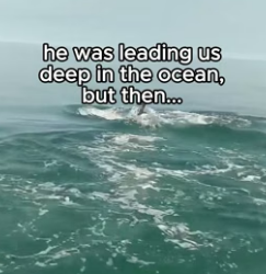 T1606005 This whale needed help! (Part 2)