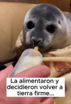 V1606010 A veces, el amor más puro viene en formas inesperadas (Part 2)