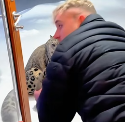 C1606001 When I helped the snow leopard family,something like this happened (Part 2)