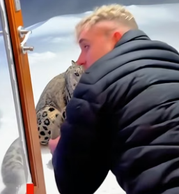 C1606001 When I helped the snow leopard family,something like this happened (Part 2)