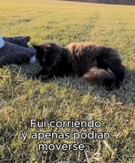 R1906012 Pensé Que Seria Un Problema❤️ (Part 2)