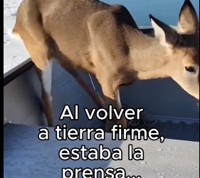 R1906008 Pensó Que Se Haria Famoso❤️ (Part 2)