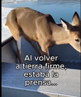 R1906008 Pensó Que Se Haria Famoso❤️ (Part 2)